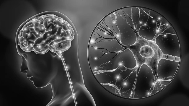 Conditions Treated With Brain Surgery