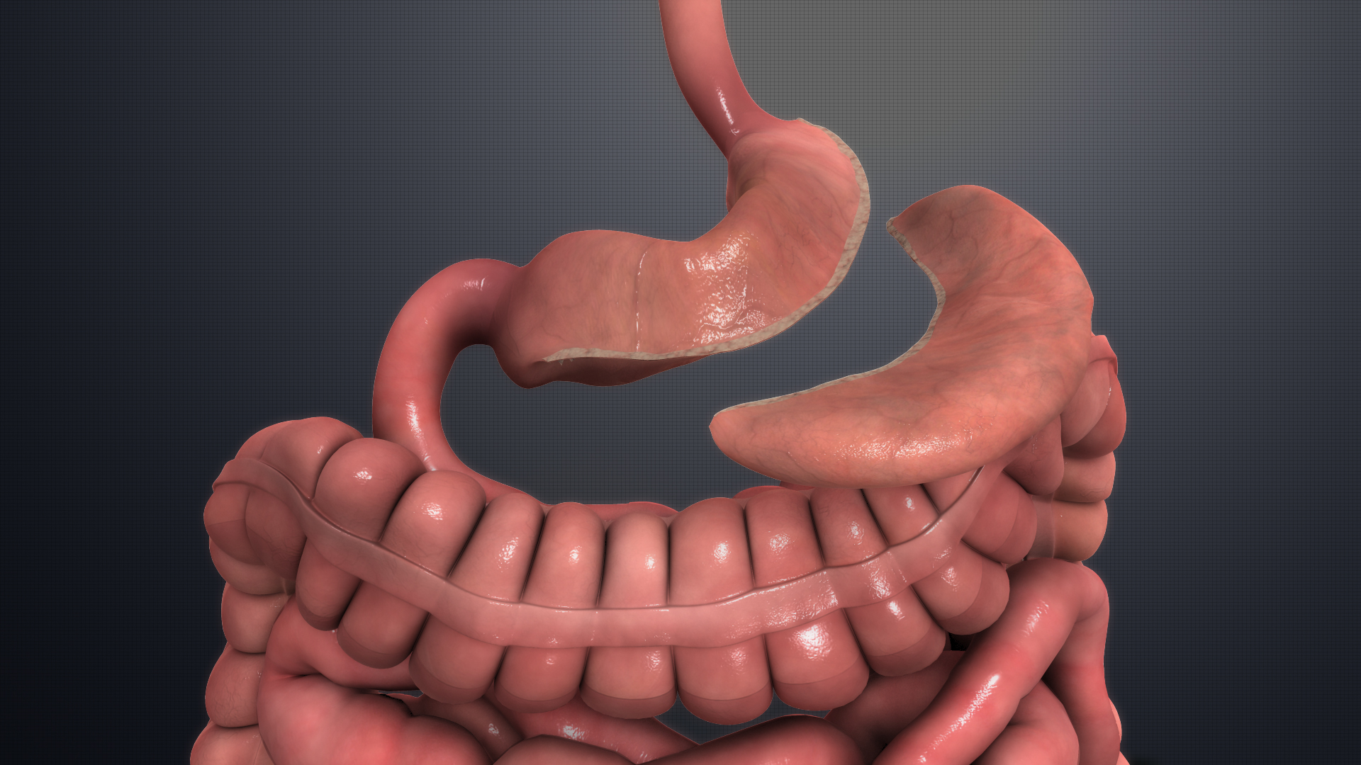 The Recovery Process After Gastric Sleeve Surgery