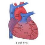 How Stress Testing Can Reveal Hidden Heart Conditions