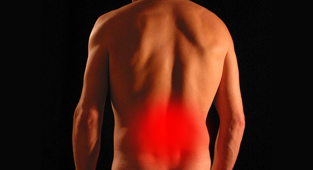 The Connection Between Posture and Back Pain