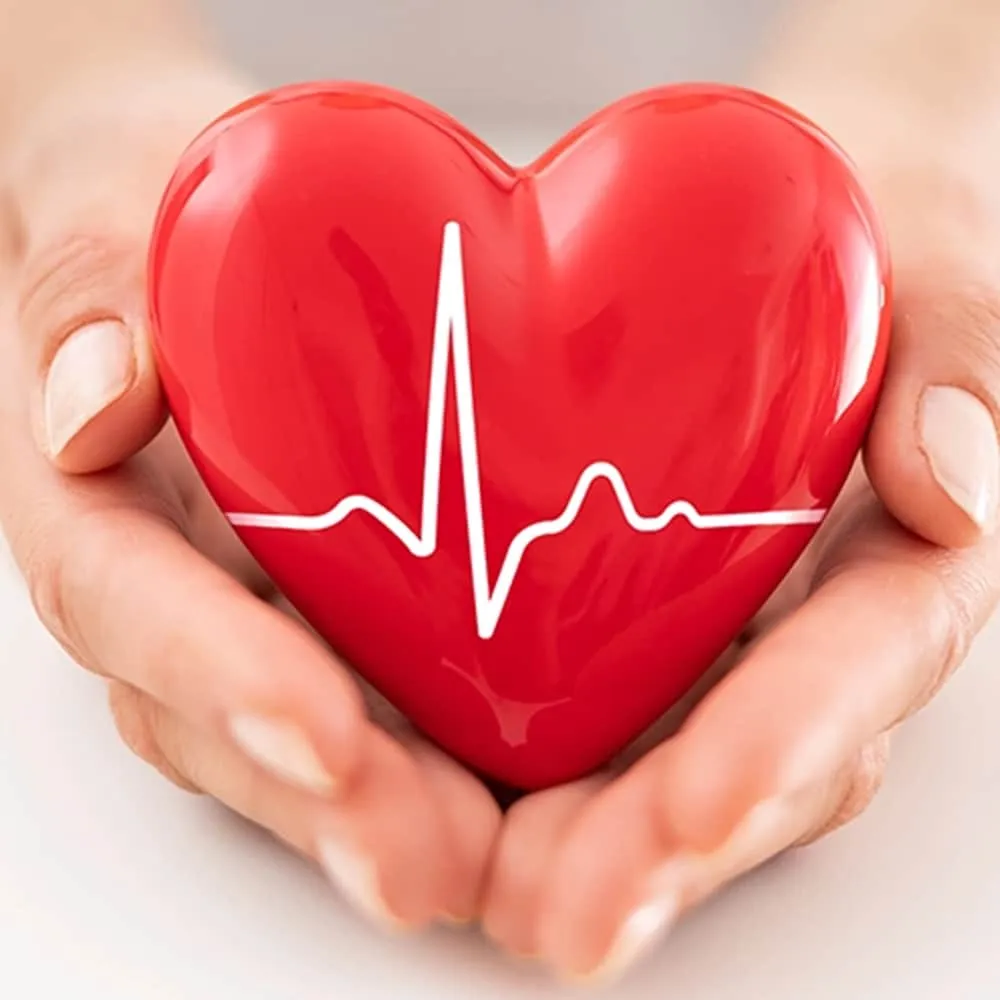 The Role of a Heart Center in Managing Cardiovascular Diseases