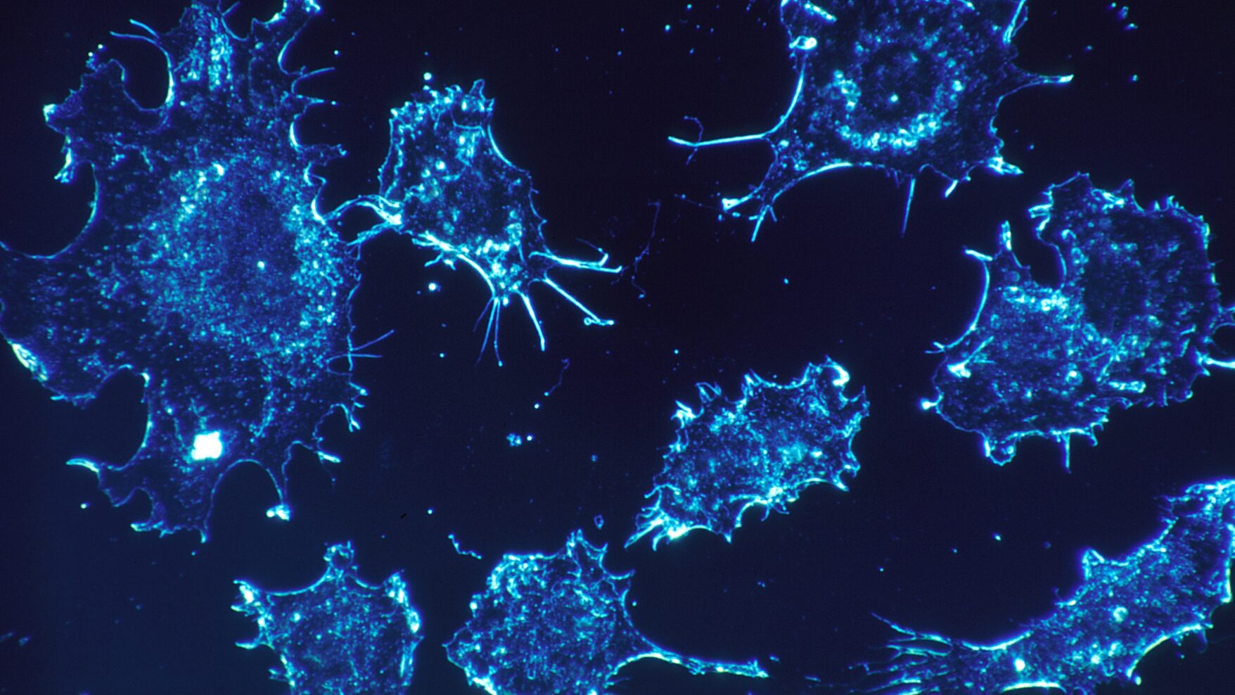 Exploring the Latest Advances in Cancer Treatment Options