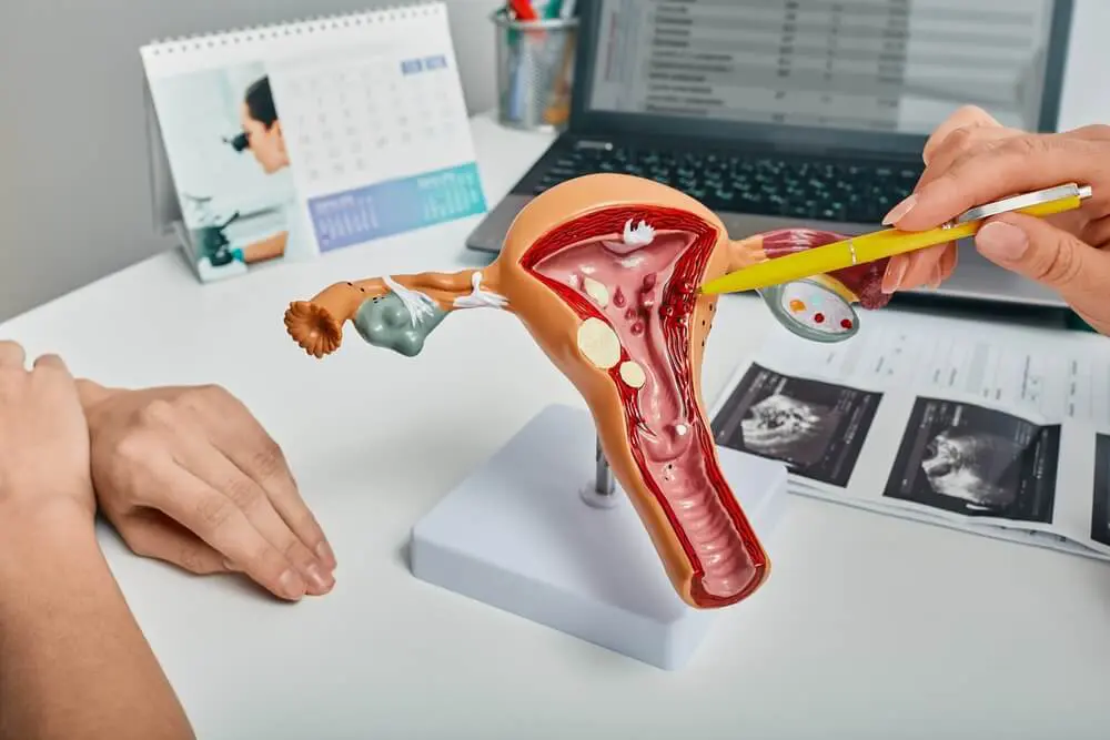 The Role of Endocrinologists in Fertility Treatment